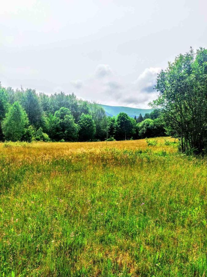 Котедж "Магур" Bukovets Esterno foto