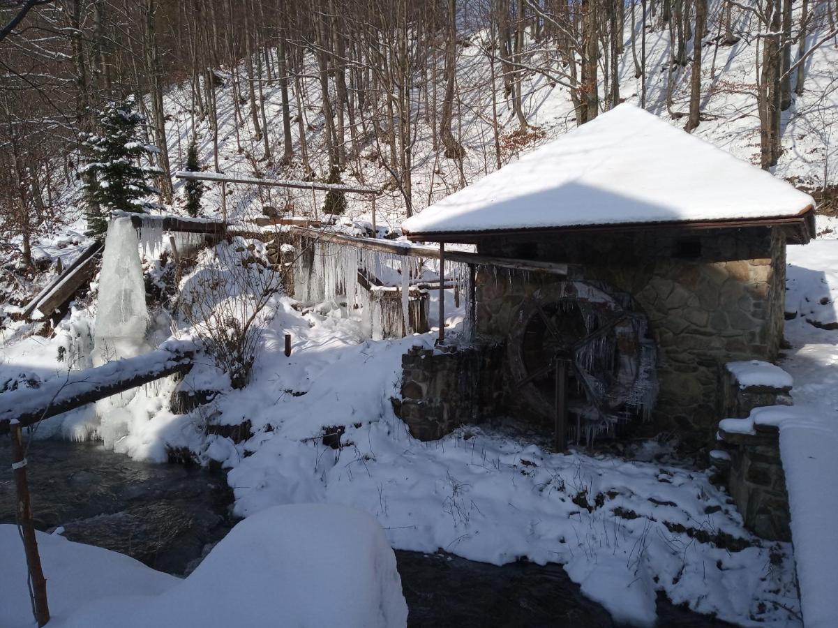 Котедж "Магур" Bukovets Esterno foto